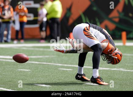 Cincinnati Bengals long snapper Clark Harris tosses a football to a fan  before the AFC championship NFL football game against the Kansas City  Chiefs, Sunday, Jan. 30, 2022, in Kansas City, Mo. (