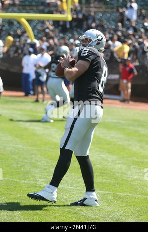 Photo: Houston Texans Matt Schaub sets to throw a pass at New Meadowlands  Stadium in New Jersey - NYP20101121116 