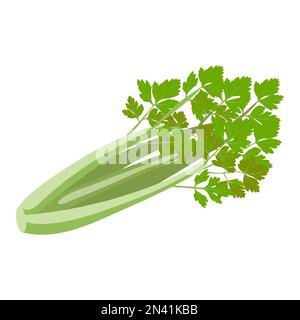 celery vector illustration isolated on white background. Stock Vector