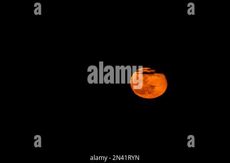 A 98% waning gibous moon, distorted and coloured red in the atmosphere just  above the horizon Stock Photo - Alamy