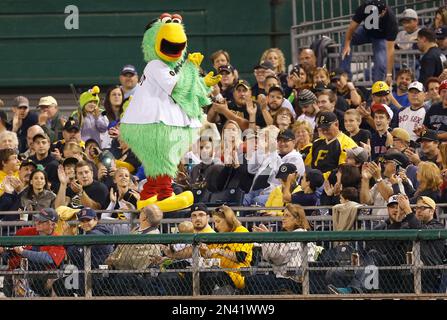 The mascot of the Pittsburgh Pirates, the Pirate Parrot, wears a Pride  shirt during Pride Night at a baseball game between the Pittsburgh Pirates  and the New York Mets in Pittsburgh, Friday
