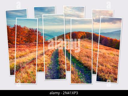 Isolated eight frames collage of picture of autumn morning scene of Carpathian mountains. Mock-up of modular photo. Stock Photo