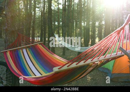 Empty hammock and camping tent in forest on summer day Stock Photo