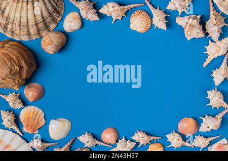 Postcard template from the seashore, blue background in a frame of sea shells. Stock Photo