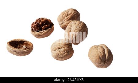 A bunch of walnuts one of them is split isolate on a white background. Stock Photo