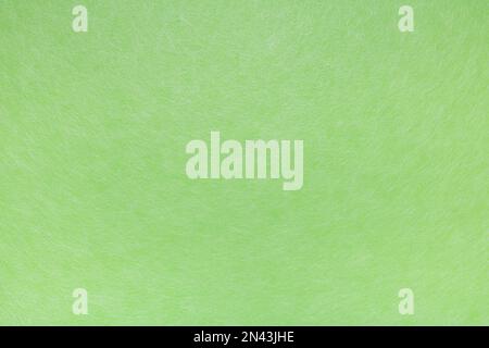 Abstract green background covered with cobwebs of white fibers. Stock Photo