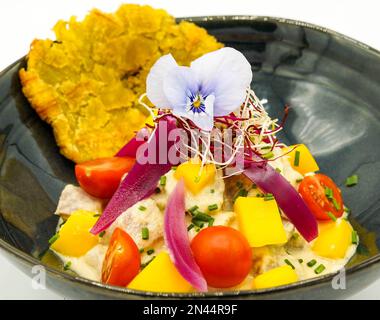 An exquisite South American ceviche of fresh fish Stock Photo