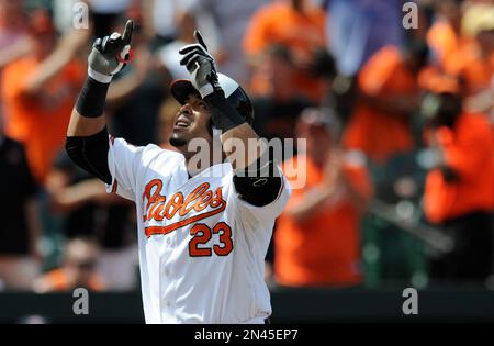 Nelson Cruz fit right in with the 2014 Orioles - Camden Chat