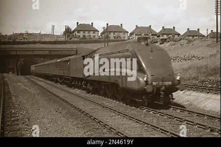 LNER A4 4-6-2 pacific locomotive 2509 Silver Link on the Silver Jubilee ...