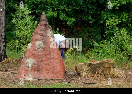 Inside termite mound Stock Photo - Alamy