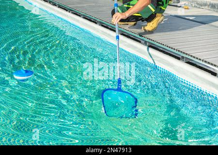 Cleaning Backyard Garden Swimming Pool with Skimmer Net. Stock Photo
