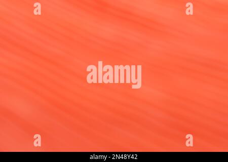 Modern orange color gradient background with lines. Stock Photo