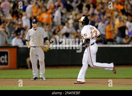 Nelson Cruz fit right in with the 2014 Orioles - Camden Chat