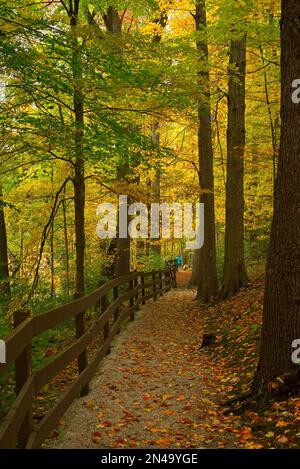 Shaded leafy path along a fence line in a northern Ohio park in autumn, with hiker and dog in the far distance Stock Photo