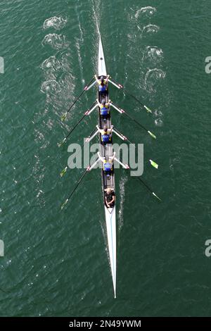 Rowing competition in Cologne Stock Photo