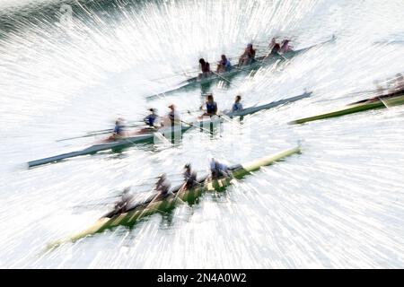 Rowing competition in Cologne Stock Photo
