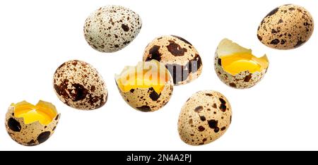 Falling quail eggs isolated on white background Stock Photo