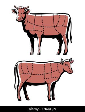 beef meat cuts chart