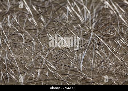 weathered fiber optic plate Stock Photo