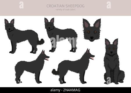 Croatian sheepdog clipart. Different poses, coat colors set.  Vector illustration Stock Vector