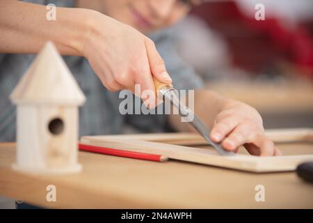 carpenter building bird nest in his workshop Stock Photo