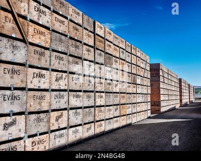 Hundreds of apple crates are stacked up at a warehouse in preparation for the harvest near Tieton, Washington. Stock Photo