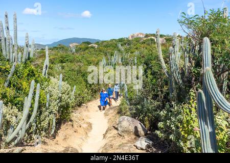 Walking track to beaches at The Baths National Park, Virgin Gorda, The British Virgin Islands (BVI), Lesser Antilles, Caribbean Stock Photo