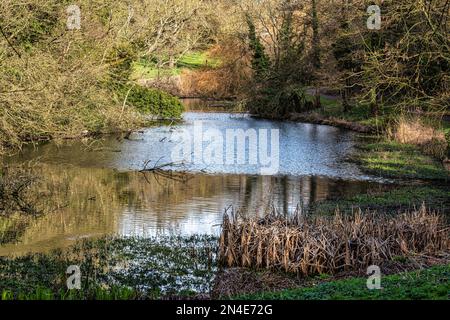 Lake in the Manor Park Country Park in West Malling near Maidstone in Kent, England Stock Photo