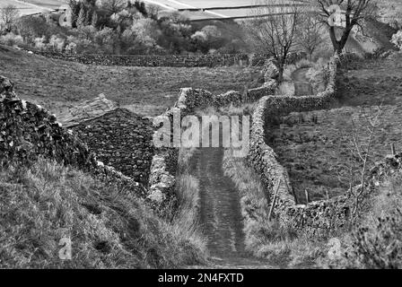 Goat Scar Lane in Stainforth, North Yorkshire with drystone walls and a stone barn Stock Photo