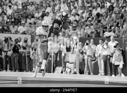 John Stallworth of the Pittsburgh Steelers hangs onto a pass as Everson  Walls, of the Dallas Cowboys, hangs onto Stallworth during action on Oct.  13, 1985. (AP Photo Stock Photo - Alamy