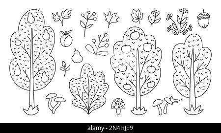 Vector black and white autumn forest or garden fruit trees, plants, shrubs, bushes, mushrooms set. Outline fall apple and pear garden illustration. Na Stock Vector