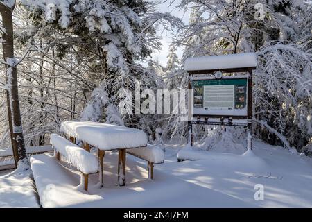 11.01.2023, Hala Slowianka, Poland. Rest area with table and benches and tourist information board covered with fresh snow in winter on Hala Slowianka Stock Photo