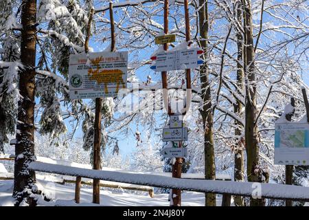 11.01.2023, Hala Slowianka, Poland. Trail markings and directional signposts covered with fresh snow in winter on Hala Slowianka, Beskid Zywiecki moun Stock Photo