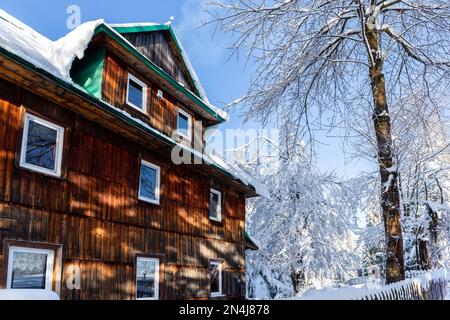 Wooden mountain shelter on Hala Slowianka in Beskid Zywiecki mountains, Poland, in winter, with trees covered with snow. Stock Photo