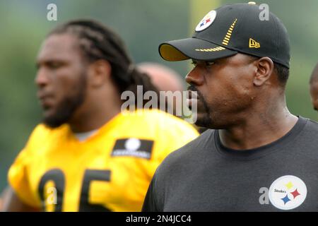 Pittsburgh Steelers linebacker coach Joey Porter during the second quarter  of an NFL preseason football game against the Buffalo Bills on Saturday,  Aug. 16, 2014, in Pittsburgh. Pittsburgh won 19-16.(AP Photo/Don Wright