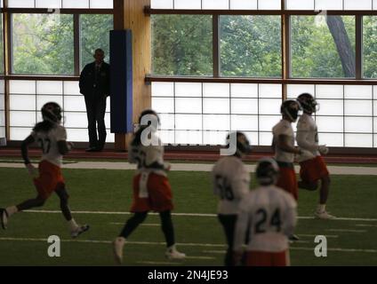 National Football Conference – NFC, professional american football club,  silhouette of NFL trophy, logo of the club in background Stock Photo - Alamy