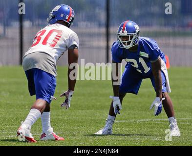 Wide receiver Victor Cruz (80) of the New York Giants and kicker