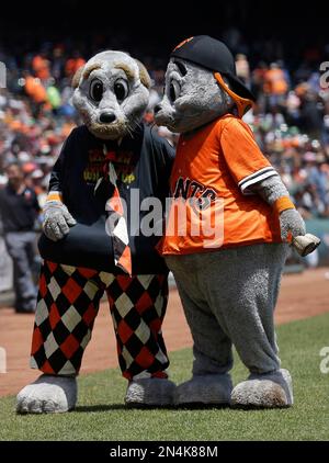 9 August, 2010: San Francisco Giants mascot LOU SEAL wearing a tie-dye shirt  with the Grateful Dead logo during Jerry Garcia tribute night at AT&T Park  in San Francisco, California. The San