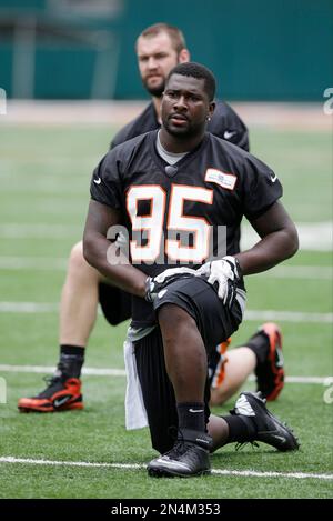 Cincinnati Bengals defensive end Wallace Gilberry warms up before an NFL  football game against the Chicago Bears Sunday, Sept. 8, 2013, in Chicago.  (AP Photo/Charles Rex Arbogast Stock Photo - Alamy