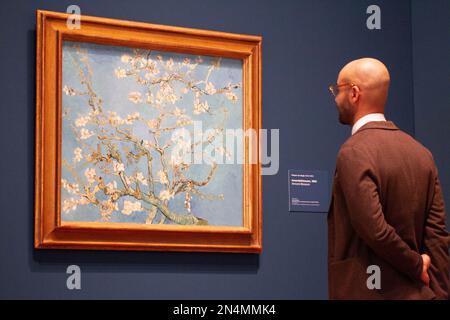 Amsterdam, Netherlands. 8th Feb, 2023. A visitor views the artwork Almond Blossom by Vincent van Gogh at a press preview of the exhibition Choosing Vincent - Portrait of a Family History at Van Gogh Museum in Amsterdam, the Netherlands, on Feb. 8, 2023. Van Gogh Museum celebrates its 50th anniversary this year, and is paying tribute to the Van Gogh family with the exhibition, which is scheduled to open to the public from Feb. 10 to April 10. Credit: Sylvia Lederer/Xinhua/Alamy Live News Stock Photo