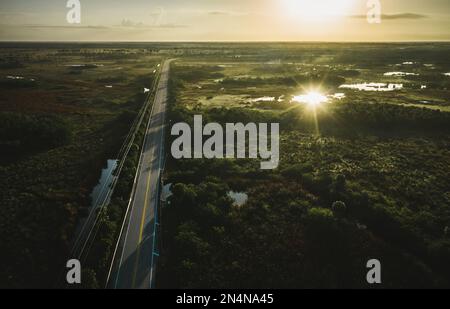 Aerial shot of the Everglades, Florida Stock Photo
