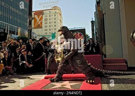 Before The Fame This Is What The Godzilla Actress Was Really Doing - 5mj6dac