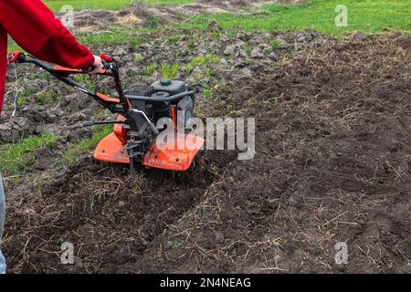 Work on a home farm in the spring. Plowing the field with a cultivator before planting seeds and seedlings. Stock Photo