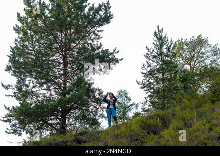 Yakut Asian girl tourist takes pictures on the phone view from the mountain in the spruce forest of Yakutia. Stock Photo