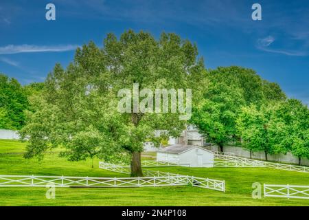 The pasture behind Graceland, the home of Elvis Presley in Memphis, Tennessee. Stock Photo