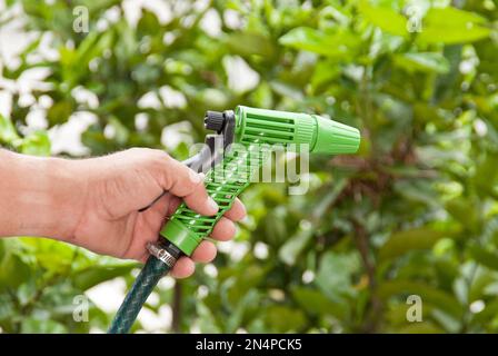 Water sprinkler gun for garden hose; Green plants background Stock Photo