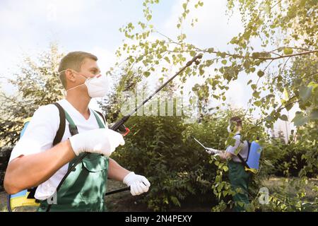 Workers spraying pesticide onto tree outdoors. Pest control Stock Photo