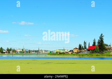 Bright day in the village of ulus Suntar in Yakutia on a overgrown pond with old and new houses and wires through the water. Stock Photo