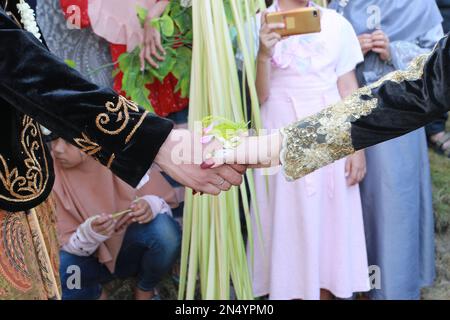 the two brides shake hands with flowers and kantil leaves on top of them in a traditional Javanese wedding procession Stock Photo