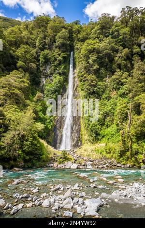 Thunder Creek Falls, a 96-metre high waterfall, cascading through the dense rainforest in the Mount Aspiring National Park on the South Island of New Stock Photo